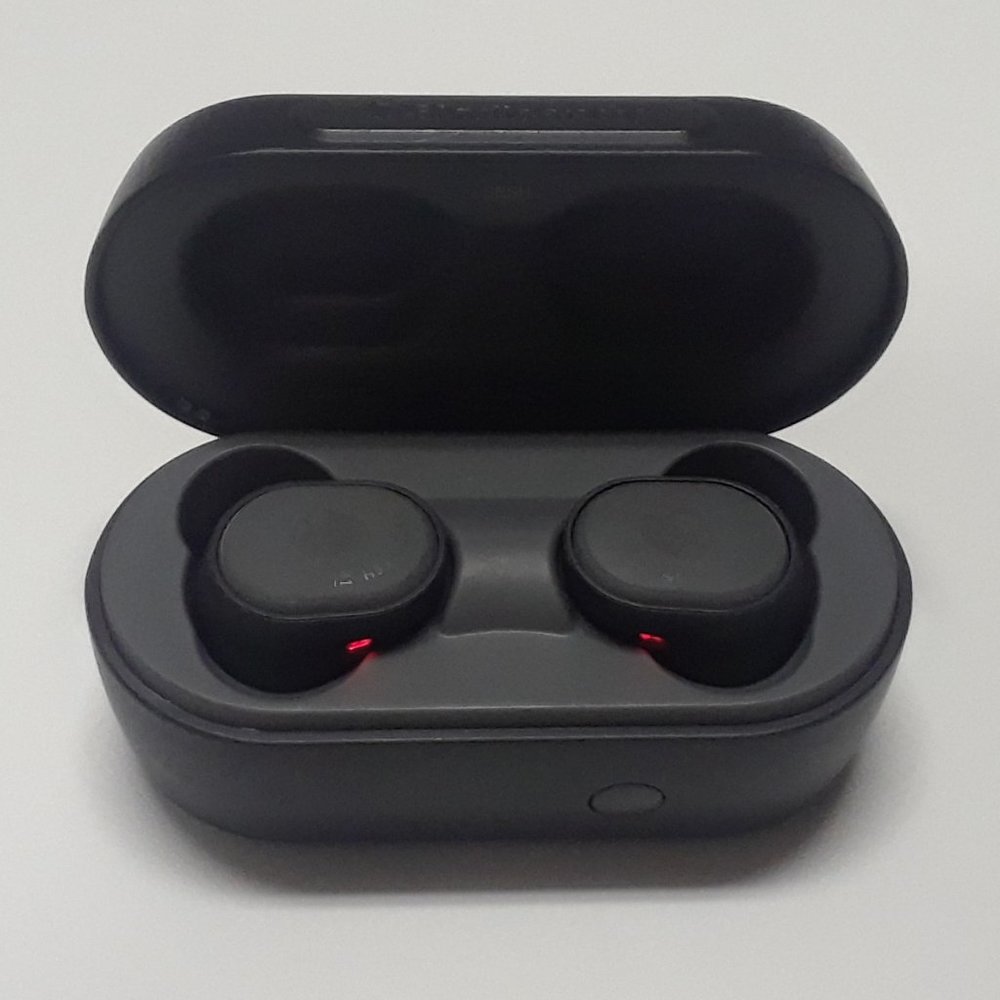 Skullcandy S2TDW True Wireless Earbuds/Headphones